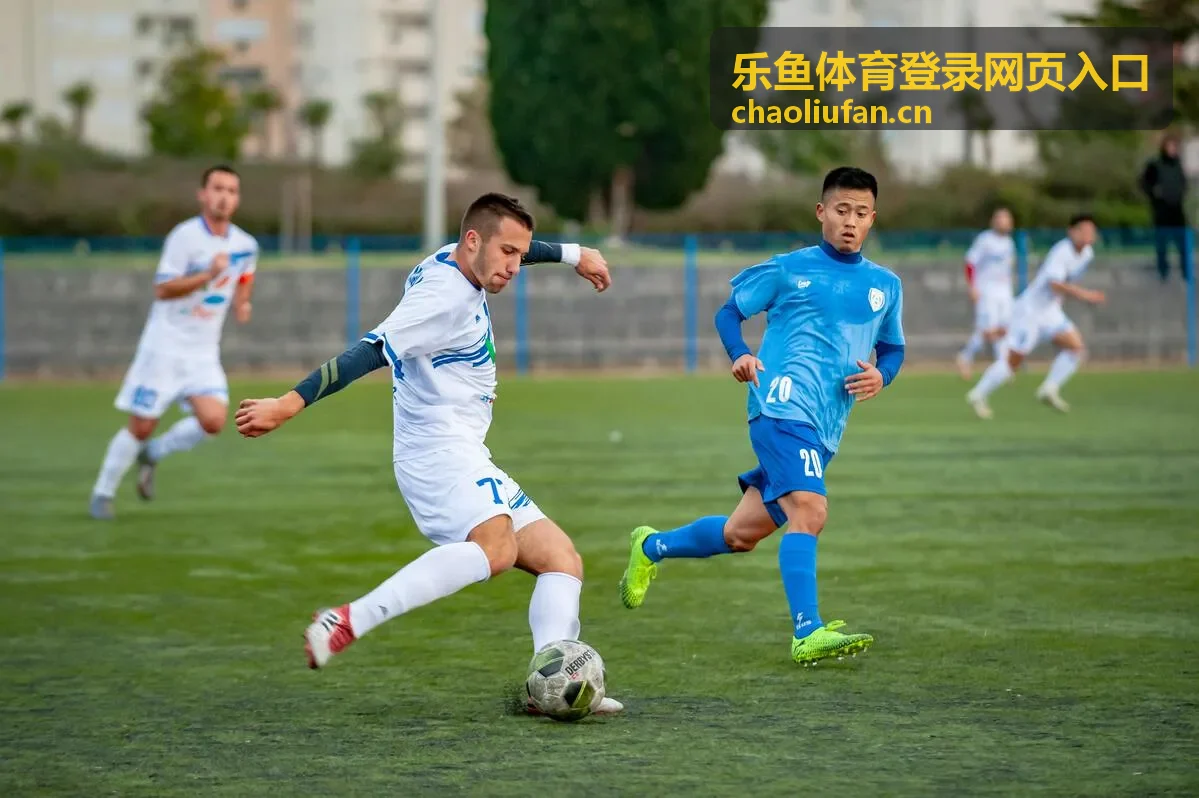 乐鱼体育登录网页入口登录记录与异常提醒查看示意